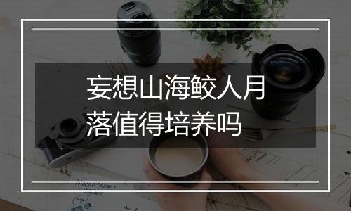 妄想山海鲛人月落值得培养吗