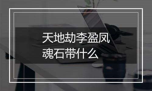 天地劫李盈凤魂石带什么