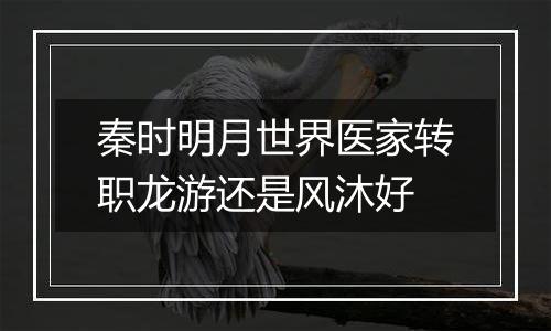 秦时明月世界医家转职龙游还是风沐好