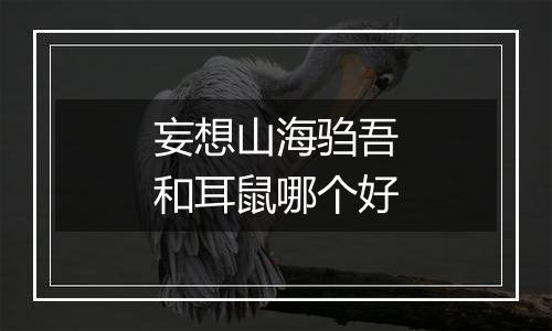 妄想山海驺吾和耳鼠哪个好