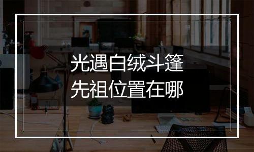 光遇白绒斗篷先祖位置在哪