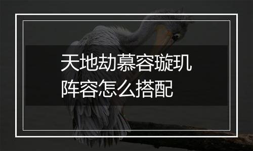 天地劫慕容璇玑阵容怎么搭配