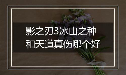 影之刃3冰山之种和天道真伤哪个好