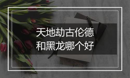 天地劫古伦德和黑龙哪个好