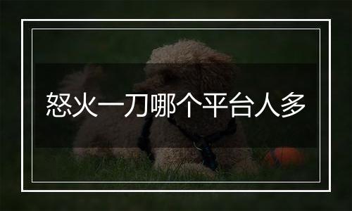 怒火一刀哪个平台人多