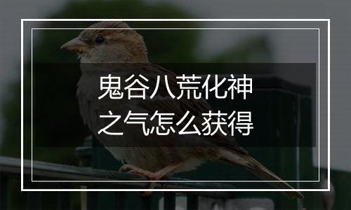 鬼谷八荒化神之气怎么获得