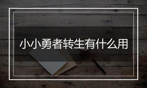 小小勇者转生有什么用