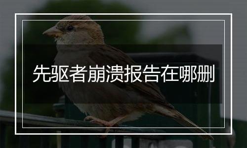 先驱者崩溃报告在哪删