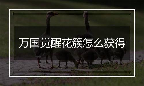 万国觉醒花簇怎么获得