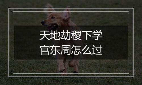 天地劫稷下学宫东周怎么过