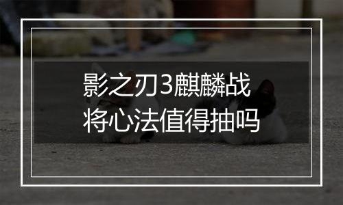 影之刃3麒麟战将心法值得抽吗