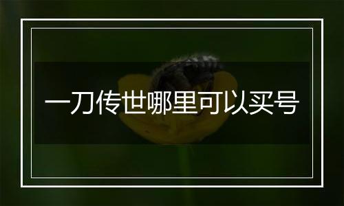 一刀传世哪里可以买号