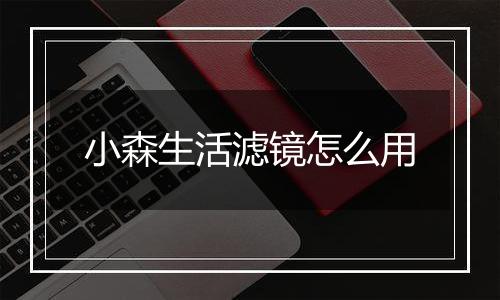 小森生活滤镜怎么用