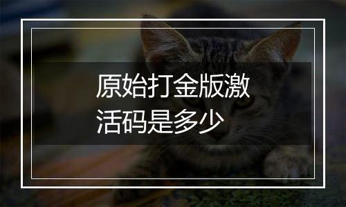 原始打金版激活码是多少