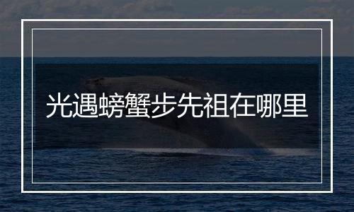 光遇螃蟹步先祖在哪里
