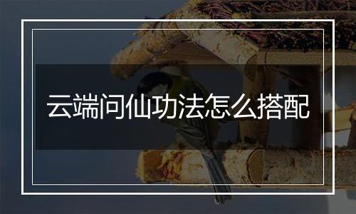 云端问仙功法怎么搭配