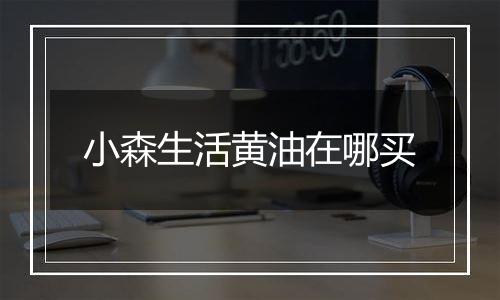 小森生活黄油在哪买
