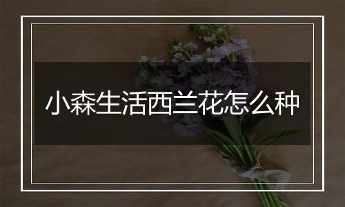 小森生活西兰花怎么种