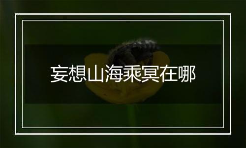 妄想山海乘冥在哪