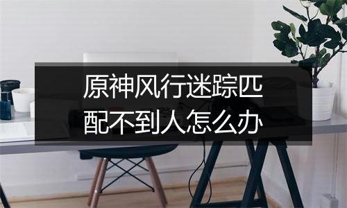 原神风行迷踪匹配不到人怎么办