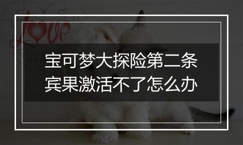 宝可梦大探险第二条宾果激活不了怎么办