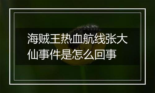 海贼王热血航线张大仙事件是怎么回事