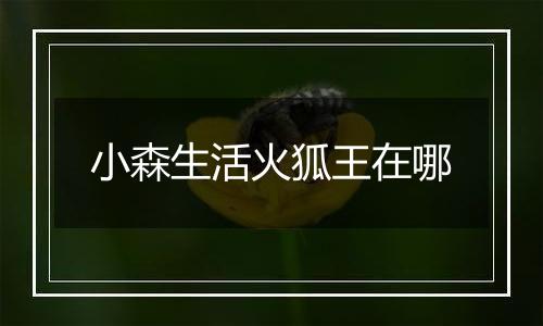 小森生活火狐王在哪