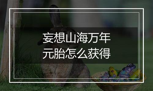 妄想山海万年元胎怎么获得