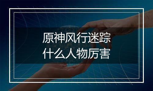 原神风行迷踪什么人物厉害