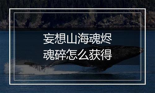 妄想山海魂烬魂碎怎么获得