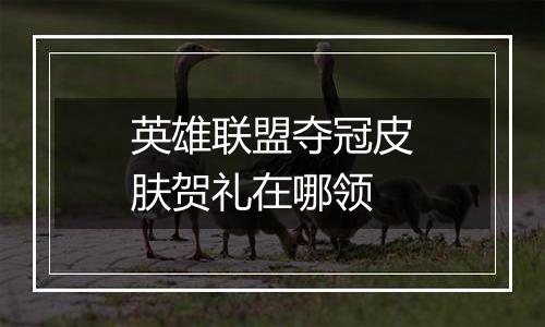 英雄联盟夺冠皮肤贺礼在哪领