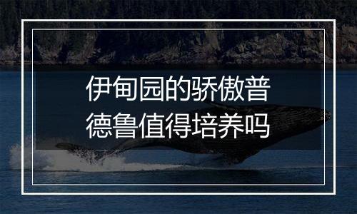 伊甸园的骄傲普德鲁值得培养吗