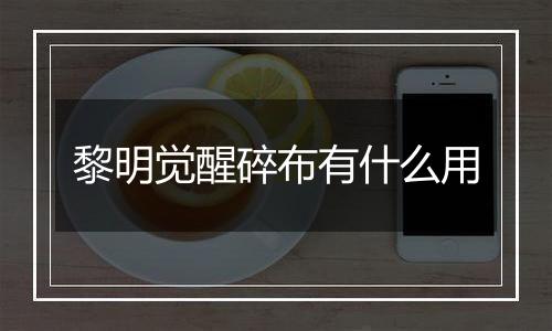 黎明觉醒碎布有什么用