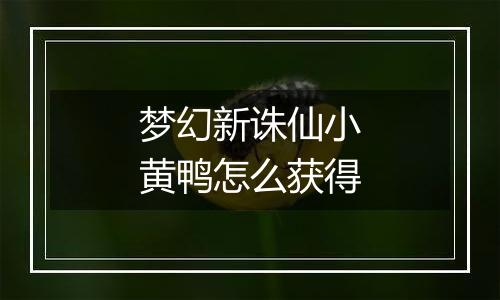 梦幻新诛仙小黄鸭怎么获得