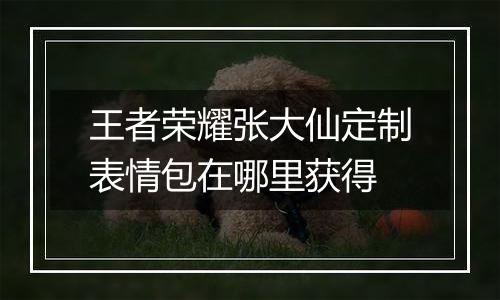 王者荣耀张大仙定制表情包在哪里获得