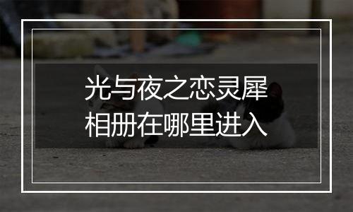 光与夜之恋灵犀相册在哪里进入