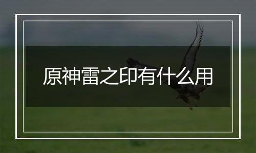 原神雷之印有什么用