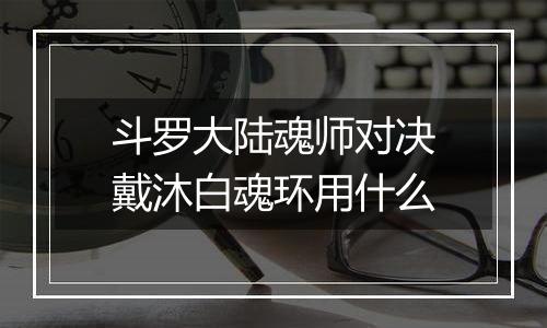 斗罗大陆魂师对决戴沐白魂环用什么