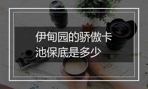 伊甸园的骄傲卡池保底是多少