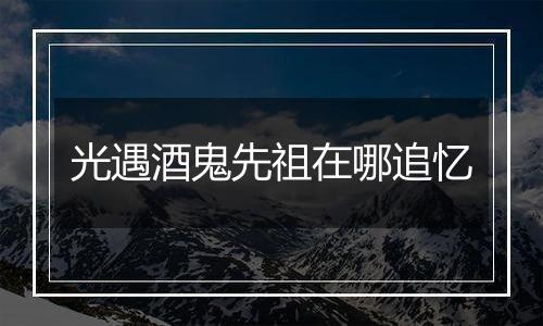 光遇酒鬼先祖在哪追忆