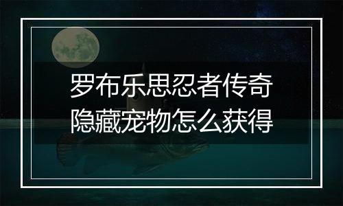 罗布乐思忍者传奇隐藏宠物怎么获得