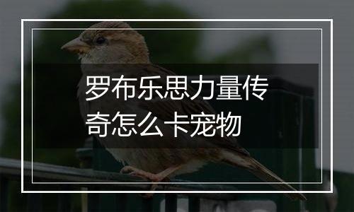 罗布乐思力量传奇怎么卡宠物