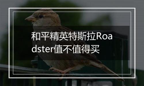 和平精英特斯拉Roadster值不值得买