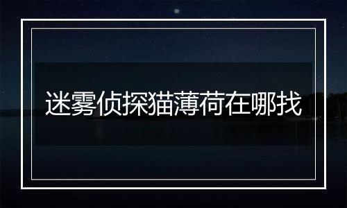 迷雾侦探猫薄荷在哪找