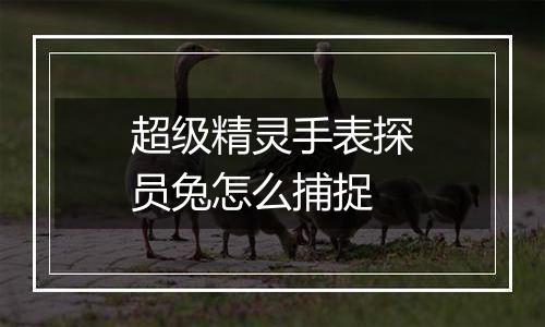 超级精灵手表探员兔怎么捕捉