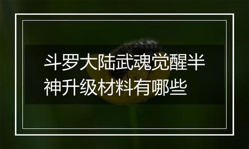 斗罗大陆武魂觉醒半神升级材料有哪些