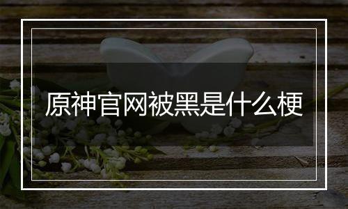 原神官网被黑是什么梗