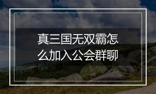 真三国无双霸怎么加入公会群聊