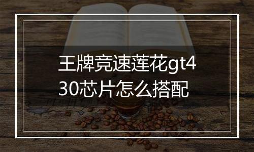 王牌竞速莲花gt430芯片怎么搭配