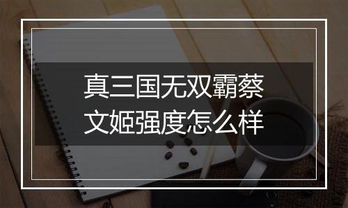 真三国无双霸蔡文姬强度怎么样